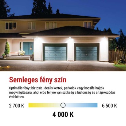 2699720.JPG