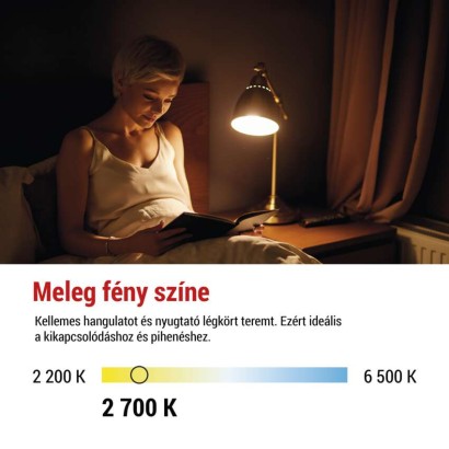 2733623.JPG