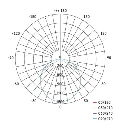 2848206.JPG