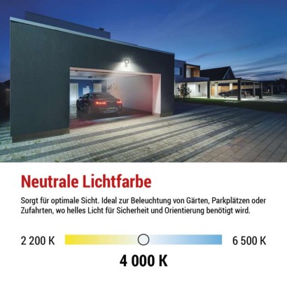 2848332.JPG