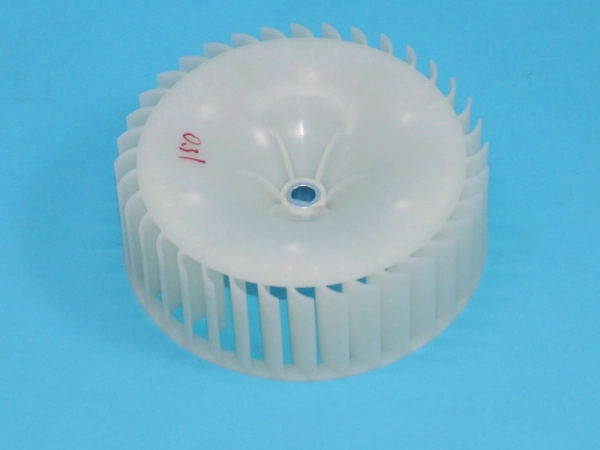 HK21745361.jpg