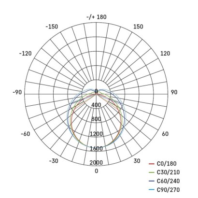 2880726.JPG