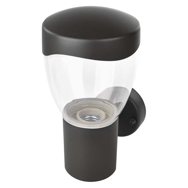 2919199.JPG