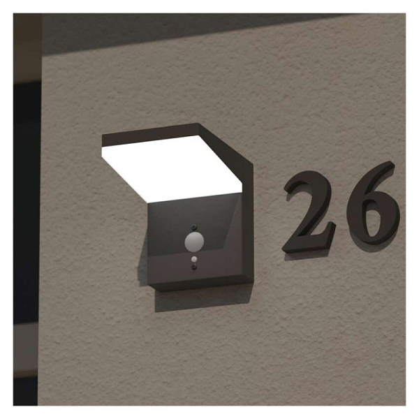 2972179.JPG