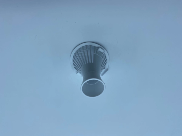 2961290200.jpeg