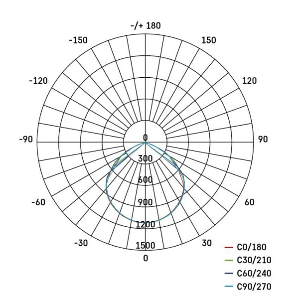2982940.JPG