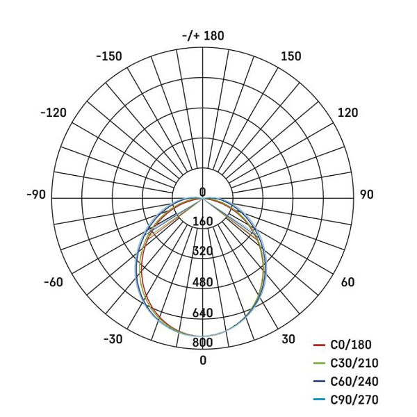 2997671.JPG