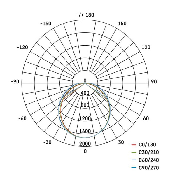 2997715.JPG