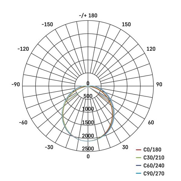 2997616.JPG