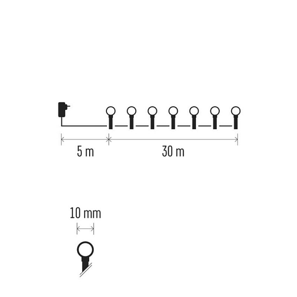 3036003.JPG