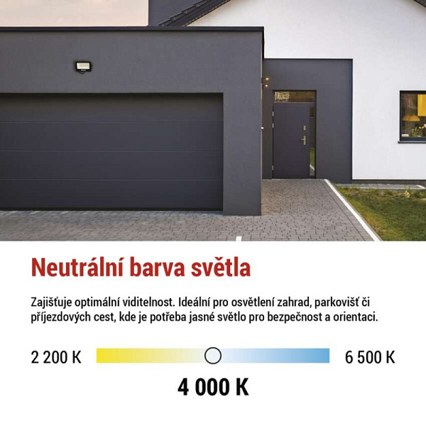 3117677.JPG