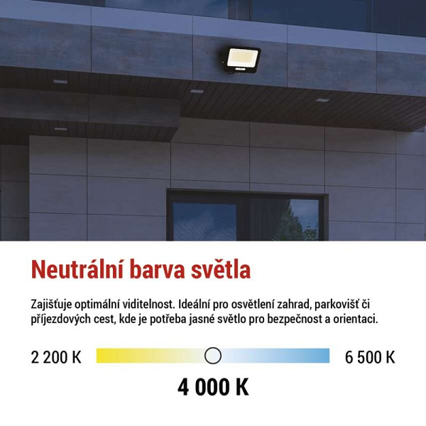 3117932.JPG
