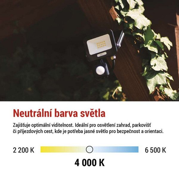 3118014.JPG