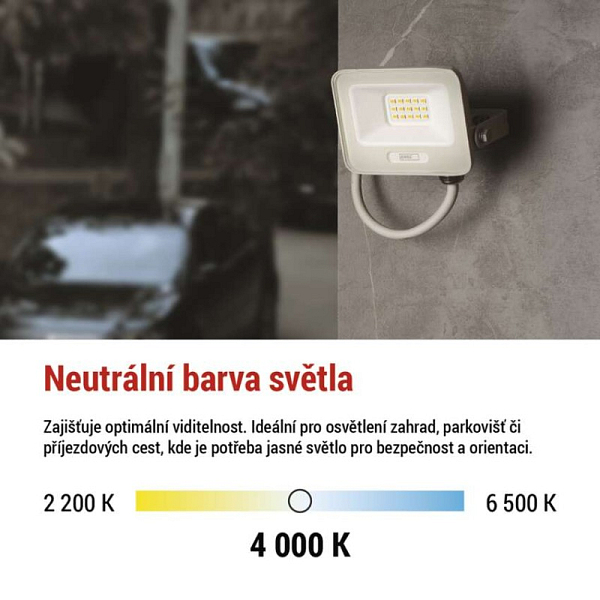 3117384.JPG
