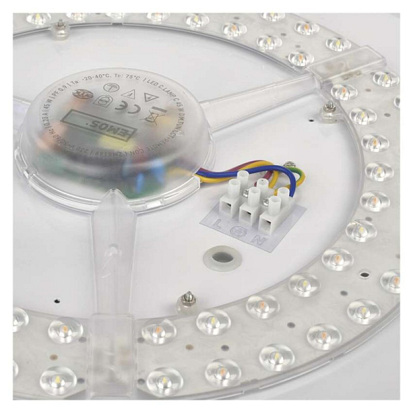 3127021.JPG