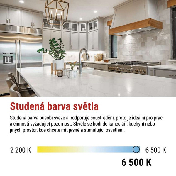 3173721.JPG