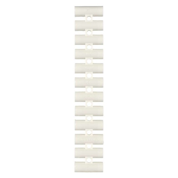3333906.JPG
