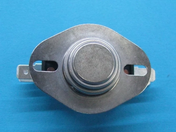 4829931.jpg