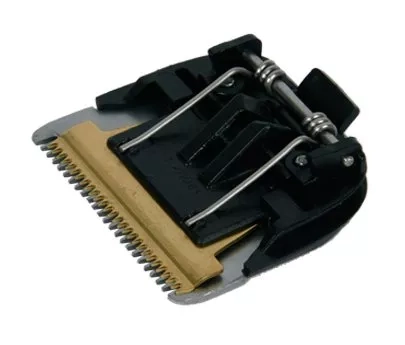 CS-00144452.jpg