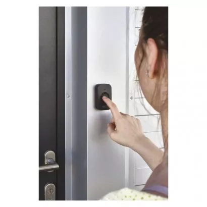 47384.JPG