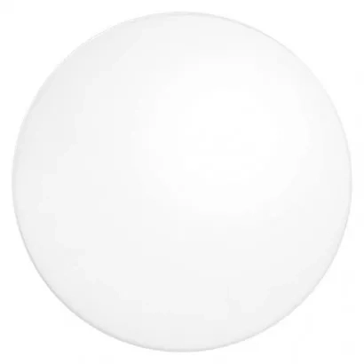 41057.JPG