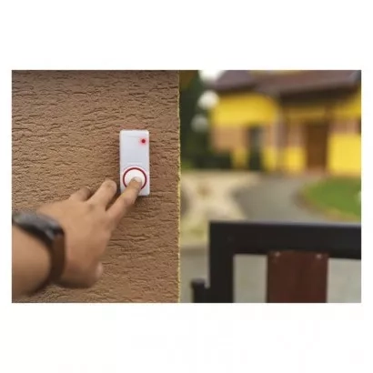 54342.JPG