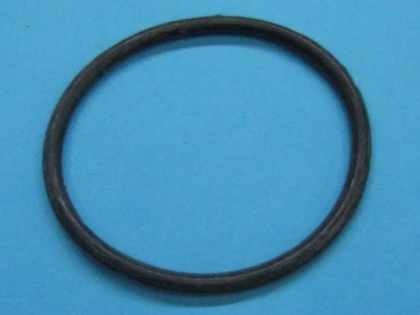 487155.jpg