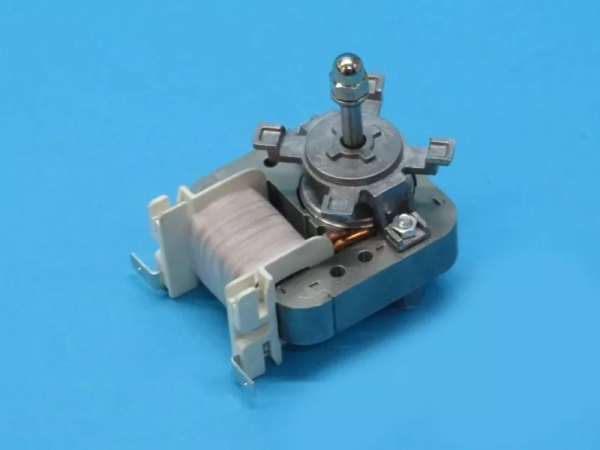 829028.jpg