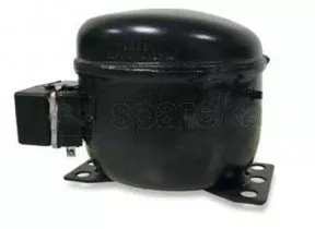 481010683938.jpg