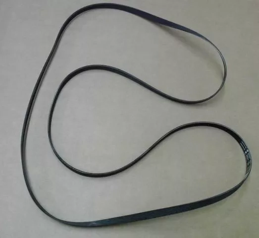 7777_10994.jpg