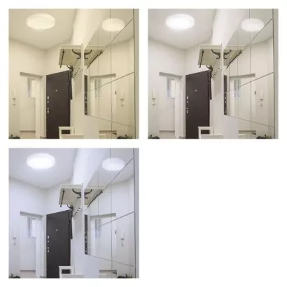 2362375.JPG