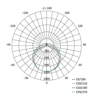 2370119.JPG