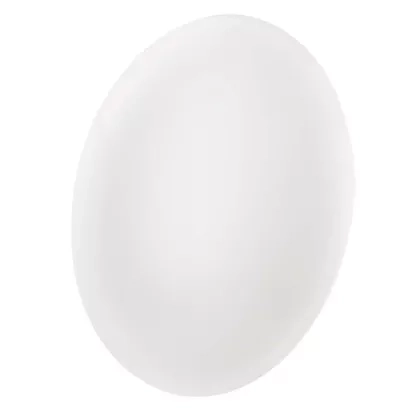 2379198.JPG