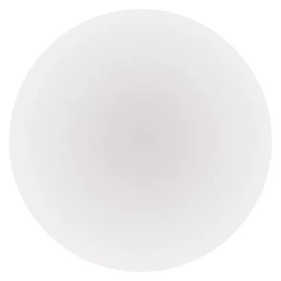2379429.JPG