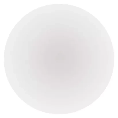 2382663.JPG