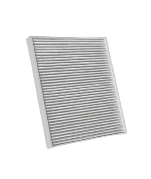Filter des Luftentfeuchters Rowenta XD6035F0