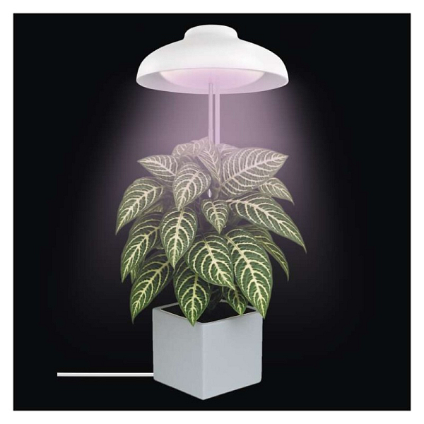 EMOS LED GROW Grow Lampe 5 W, Timer, weiß