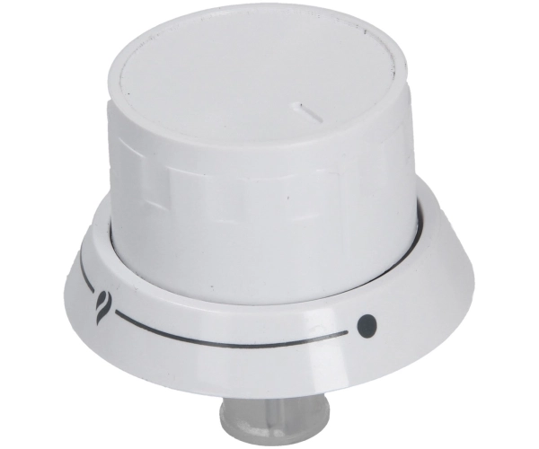 Beko-Gasknopf 250317243