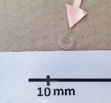 Dichtung für die Düse Krups SS-8030002307