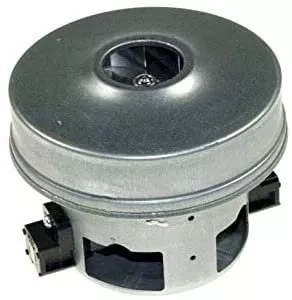 Staubsaugermotor Rowenta RS-RT900070