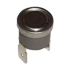 Whirlpool 60°C Thermostat 481928248255